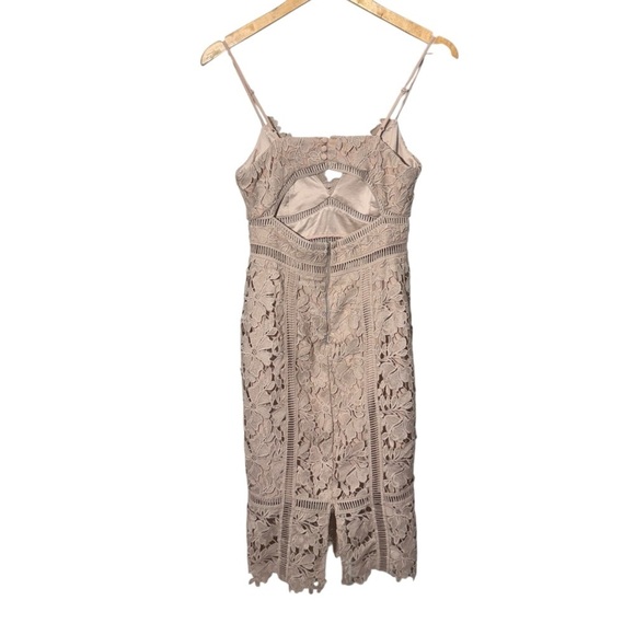 BARDOT Botanica Lace Bodycon Dress Size XS Feminine Wedding Guest Cocktail Dress - Picture 10 of 13